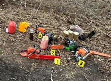 Перед судом постане організатор незаконної вирубки лісу в Охтирському районі