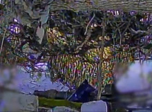 На Сумському напрямку прикордонники знищили міномет та укриття росіян (відео)