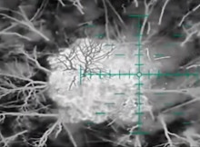 На Сумському напрямку прикордонники знищили укриття, техніку та окупантів