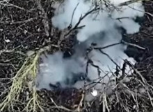 На Сумському напрямку прикордонники знищили шість укриттів і гармату ворога (відео)