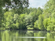 У річці Сейм на Сумщині виявили перевищення аміачного азоту: фахівці не радять купатися