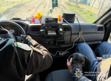 З козою та собаками: як «Білі янголи» евакуюють людей із прикордоння Сумщини (відео)