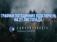 На Сумщині 21 листопада діятимуть два графіки відключень електроенергії