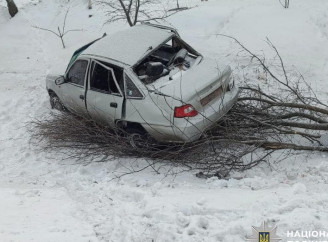 Аварія на Сумщині: неповнолітня водійка врізалася в дерево, травмовано трьох осіб