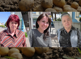 Чи саджатимуть сум’яни цьогоріч картоплю – ми спитали