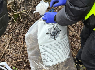 Суд відправив 21-річного чоловіка за зберігання та збут канабісу до СІЗО