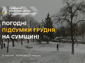 Тепліше за норму та мало опадів: як минув перший місяць зими на Сумщині