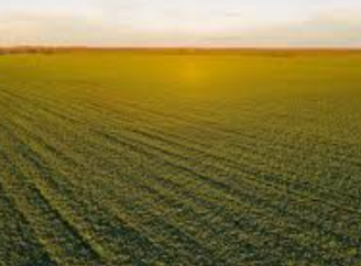 Громаді Роменського району повернули 480 гектарів землі, які орендували через підставну фірму