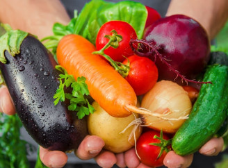 Выращивание овощей на продажу: с чего начать