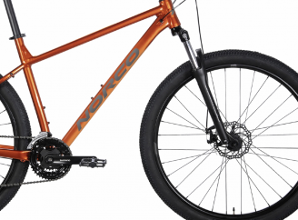 Ходьба и езда на велосипеде как основа активного образа жизни