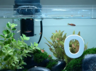 Рыбам тоже нужно дышать: как обеспечить идеальную аэрацию в аквариуме