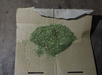 На Глухівщині поліція викрила молодика на торгівлі наркотиками