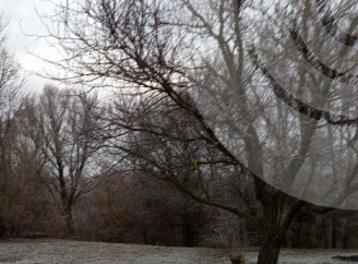 На Сумщині на вихідних очікується похолодання та сніг з ожеледицею на дорогах