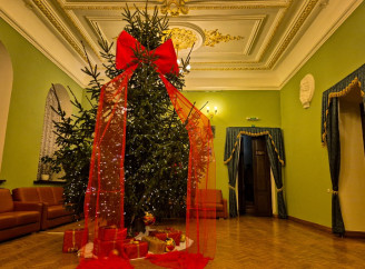 Новорічні ялинки у Сумах — фотодобірка