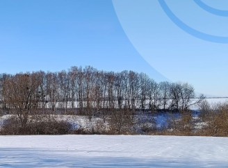 Від морозів до відлиги: на Сумщині очікуються різкі зміни погоди та ожеледиця