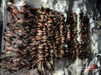 На Роменщині викрили браконьєра, який виловив понад 400 рибин