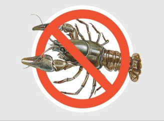 З 1 грудня на водоймах Сумщини запроваджується заборона на вилов раків