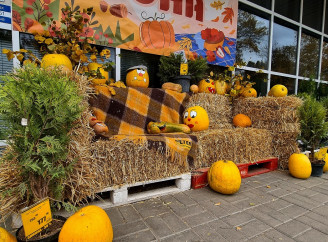 Як Суми готуються до Гелловіну — фоторепортаж
