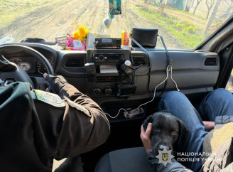 З козою та собаками: як «Білі янголи» евакуюють людей із прикордоння Сумщини (відео)