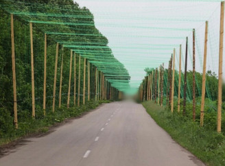 Сумщині виділять 140 млн грн на антидроновий захист доріг