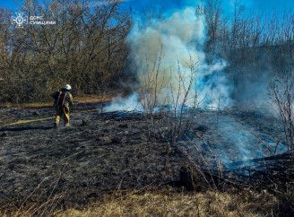 Масштабна пожежа в Конотопі: вогнеборці захистили житлові будинки від вогню на відкритій території