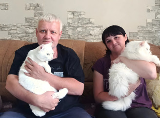 Наші серця віддаємо тваринам – як сімʼя зі Старого Села утримує домашній притулок