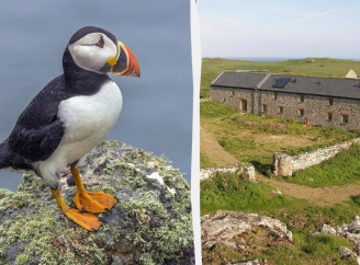 У Великій Британії шукають волонтерів для роботи на безлюдному острові
