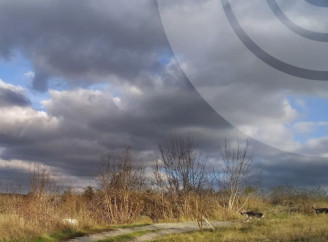 Синоптики прогнозують на Сумщині вітер, дощ та ожеледицю