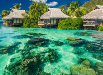 Почему стоит рассмотреть покупку земли на Бали: перспективы и особенности