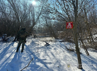 Смертельна знахідка на Лебединщині: поліцейські знешкодили міну, яку ніс російський безпілотник
