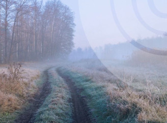 Погода на вихідні: синоптики попереджають про обмежену видимість та слизькі дороги