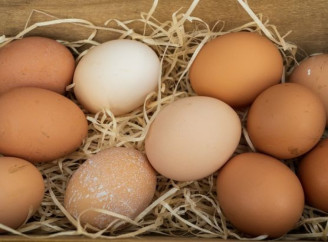 Білі чи коричневі: експерти розставили крапки над «і» у питанні вибору яєць