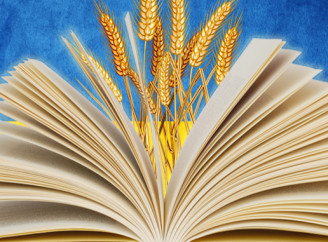 Розбір речень: як визначити підмет і присудок у складних конструкціях