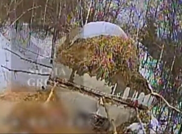 Бригада «Сталевий кордон» знищила склад боєприпасів та техніку ворога на Сумському напрямку (відео)