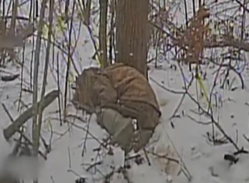 Сумські прикордонники ліквідували бензовоз та п’ять укриттів ворога на Курщині (відео)