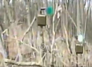 Прикордонники знищили точку зльоту БпЛА та укриття ворога на Сумському напрямку