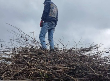 У Тростянці судитимуть посадовицю через мільйонні збитки на закупівлі дров