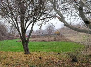 Сухі вихідні та прохолодні ночі: прогноз погоди від сумських синоптиків на вихідні