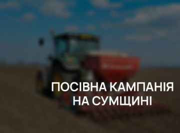 Заморозки та дощі: негода гальмує темпи посівної на Сумщині