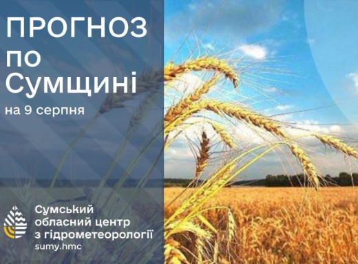 Прогноз погоди на Сумщині на 9-11 серпня фото