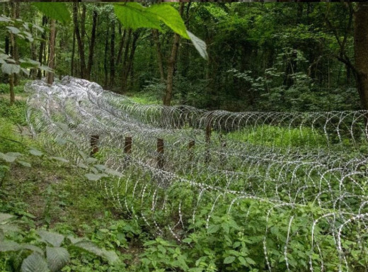 Сирський на Сумщині: стабілізація фронту та посилення оборони фото Сирський на Сумщині: стабілізація фронту та посилення оборони фото