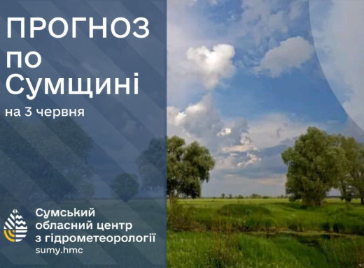 На Сумщині прогнозують спеку, дощі, град та грози фото