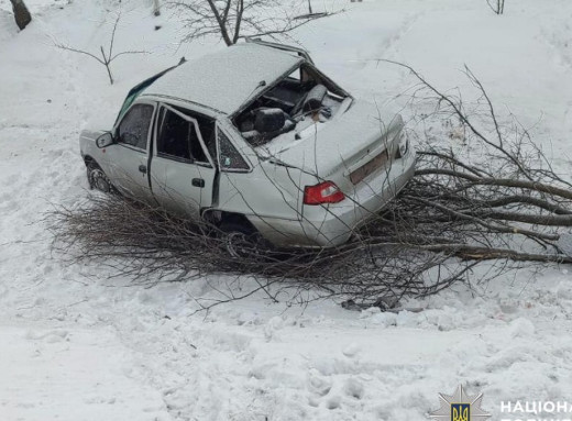 Аварія на Сумщині: неповнолітня водійка врізалася в дерево, травмовано трьох осіб фото