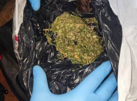 Боротьба з наркозлочинністю: на Сумщині правоохоронці вилучили великі партії марихуани фото