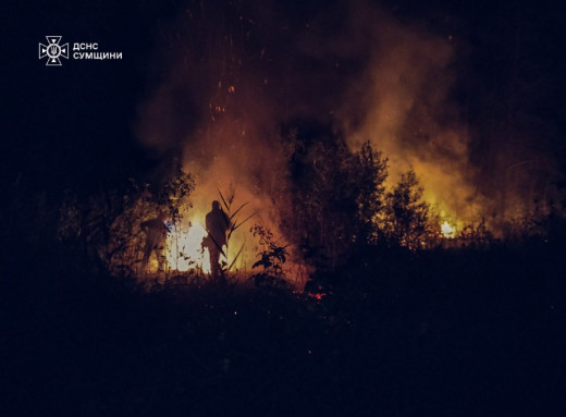 На Сумщині пожежники 6 разів ліквідовували загоряння сухої трави фото