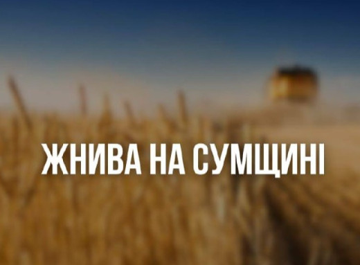 На Сумщині тривають жнива: врожайність ранніх зернових вища, ніж торік фото На Сумщині тривають жнива: врожайність ранніх зернових вища, ніж торік фото