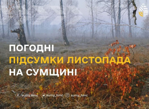 Листопад 2025 року на Сумщині став одним із найтепліших за історію спостережень фото