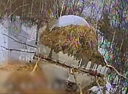 Бригада «Сталевий кордон» знищила склад боєприпасів та техніку ворога на Сумському напрямку (відео) фото