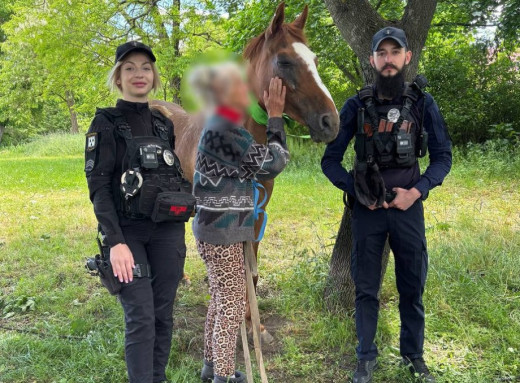 Вулицями Сум бігав кінь: поліцейські зловили тварину та повернули власниці фото