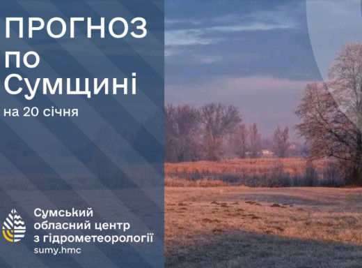 Синоптики прогнозують на Сумщині морозні ночі та тумани фото